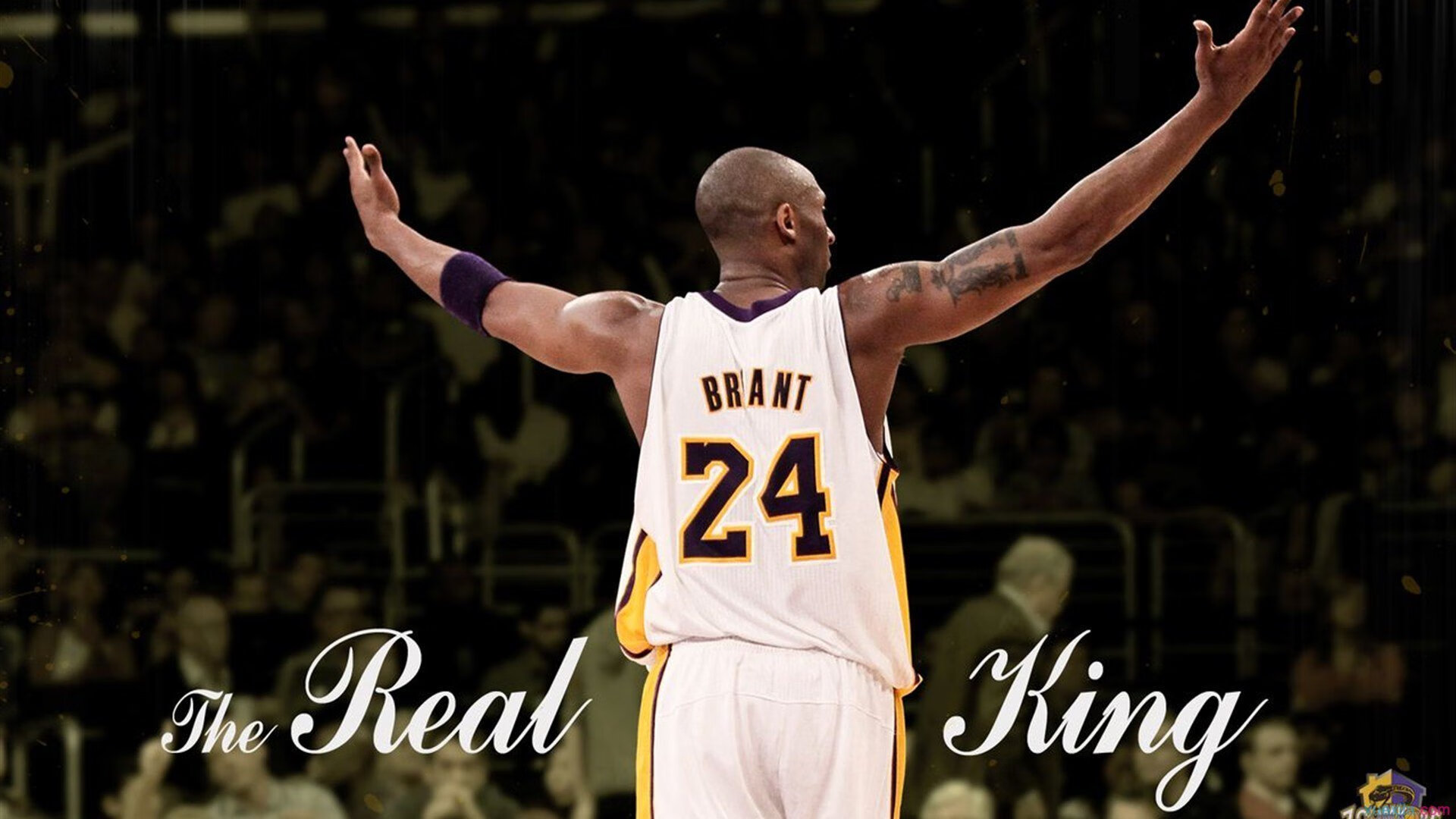 LEYU乐鱼体育官方网站-包装工主场获胜，四分卫状态神勇，包装工的主场